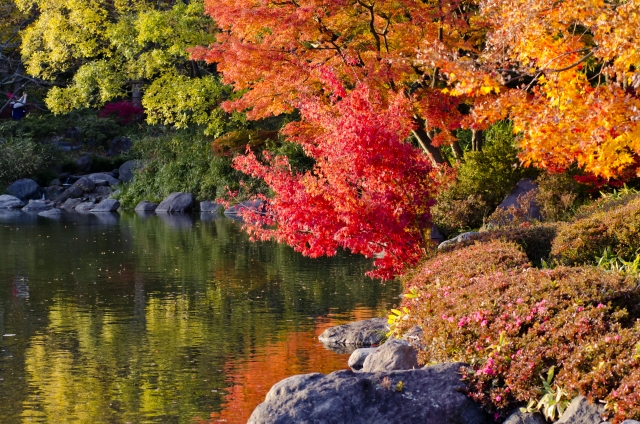俳句 間違えやすい意外な 秋の季語 秋らしいけど 冬の季語 和のこころ Comー和の精神 日本文化を伝えるサイト