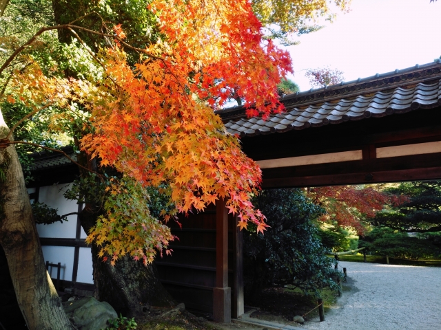 有名俳句 秋の季語 動物 鳥 虫 を使ったものを個紹介します 和のこころ Comー和の精神 日本文化を伝えるサイト