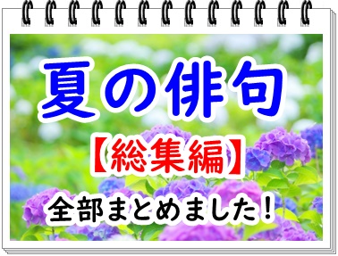 蝉 せみ の有名俳句40選 夏休みの俳句におすすめの 夏の季語 和のこころ Comー和の精神 日本文化を伝えるサイト