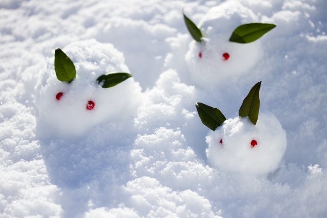 雪 の有名俳句35選 牡丹雪 降る雪 など美しい冬の季語で一句いかが 和のこころ Com