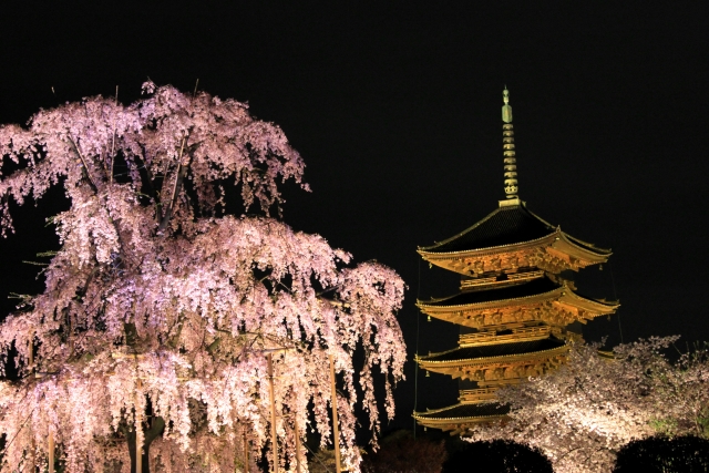 夜桜 の有名俳句35選 昼とは別の顔を魅せる日本人の心の花 和のこころ Com